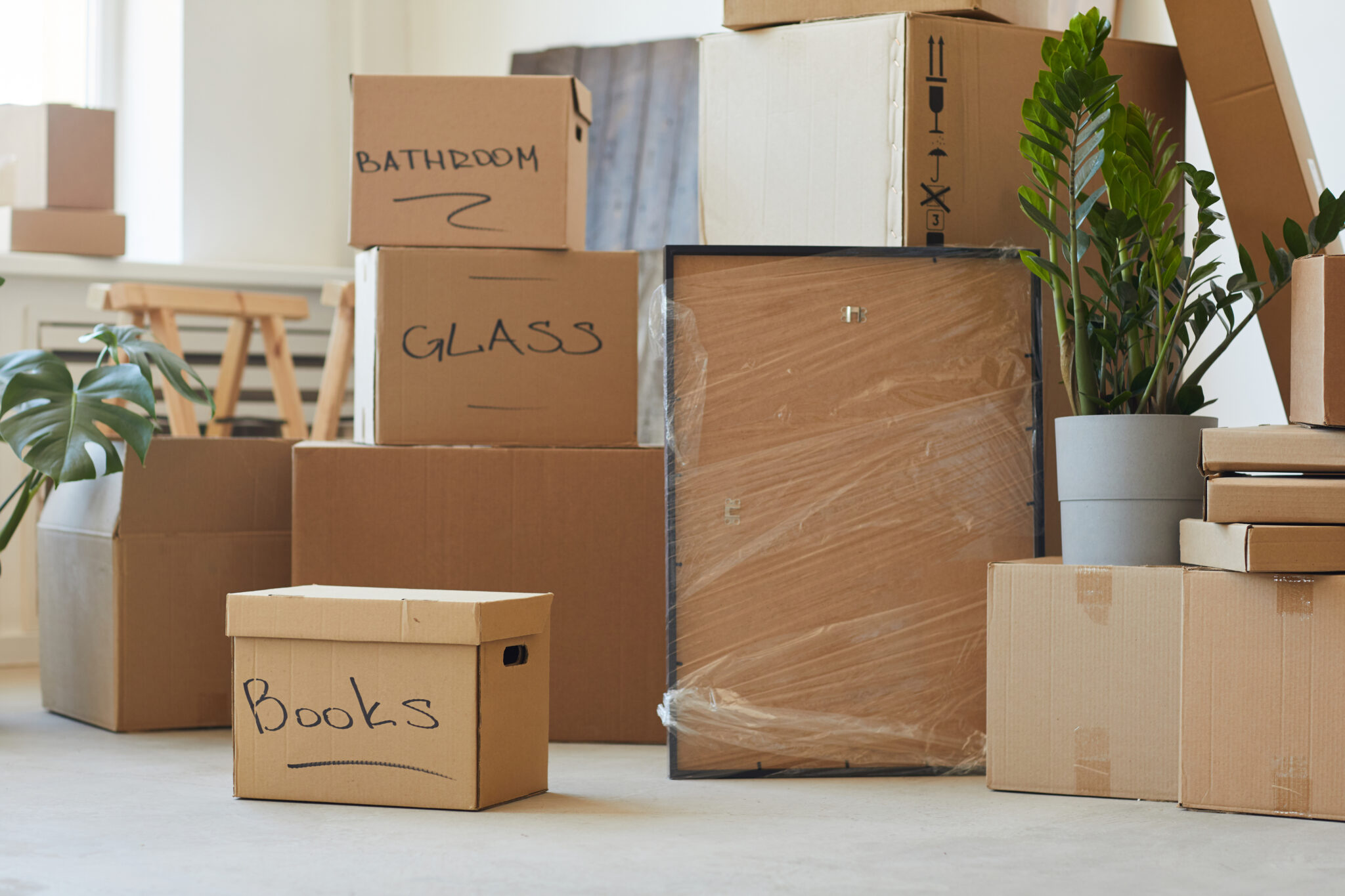 Eco-Friendly Moving Tips