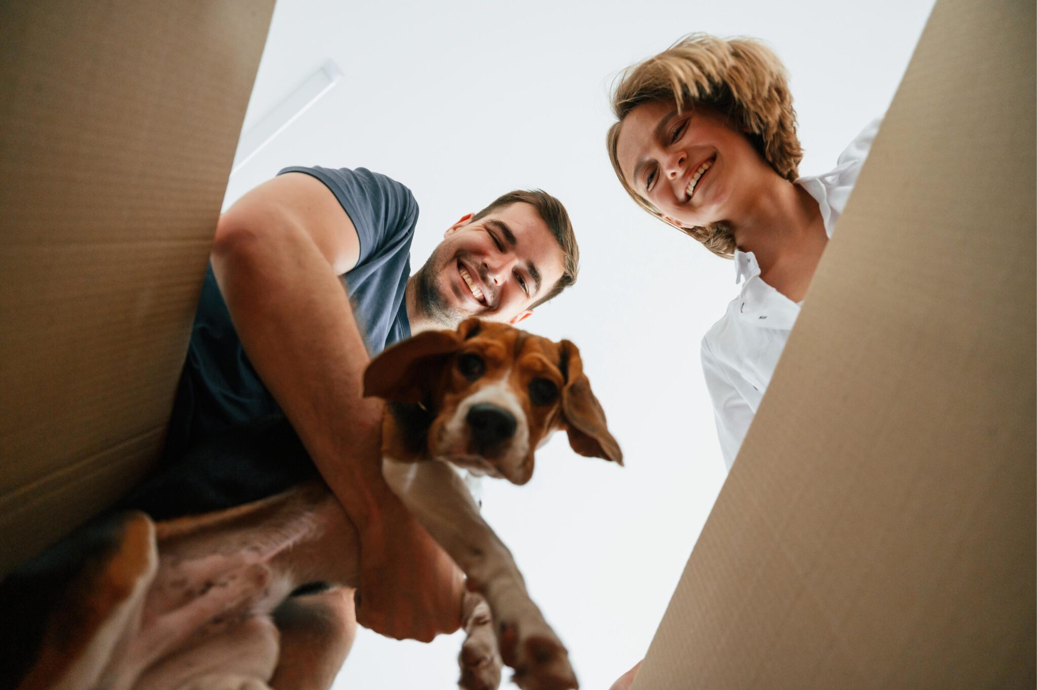 Find a New Veterinarian and Pet Service