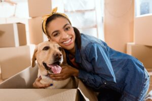 Key Tips While Moving with Pets
