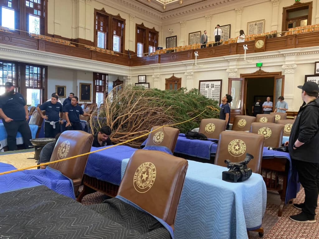Texas movers bringing a tree into the House Chamber.