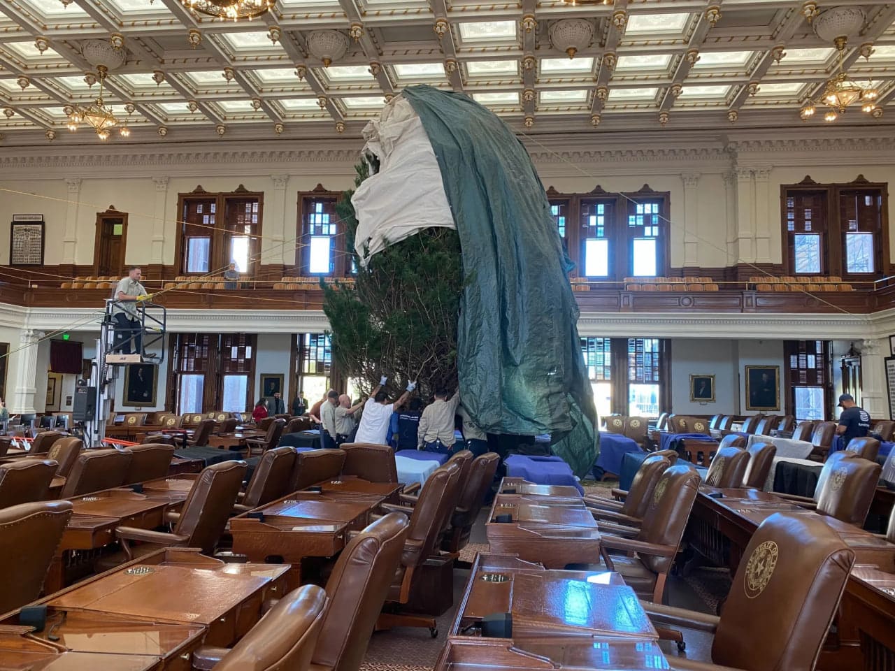 Texas movers setting up a Christmas tree in the Texas Capitol.
